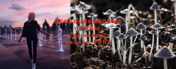 тгк Семилуки