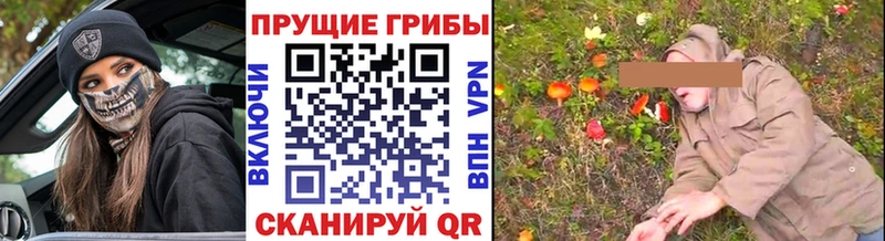 Купить закладки  Дыгулыбгей  Галлюциногенные грибы GOLDEN TEACHER 
